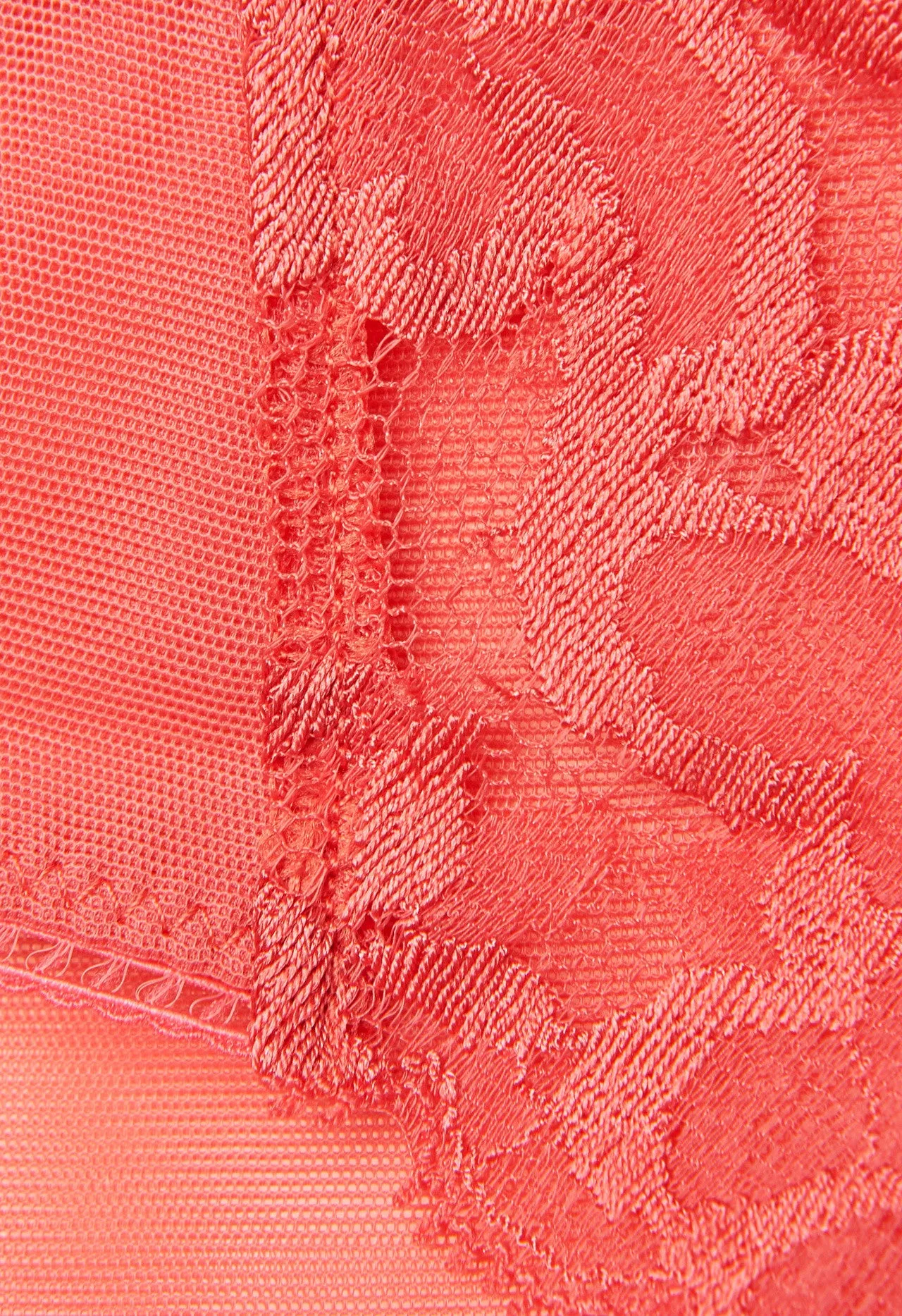 Coral Stretch Tulle Brazillian Briefs with Leavers Lace