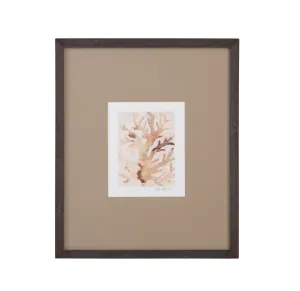 Parchment Coral - III Framed Print - Brown