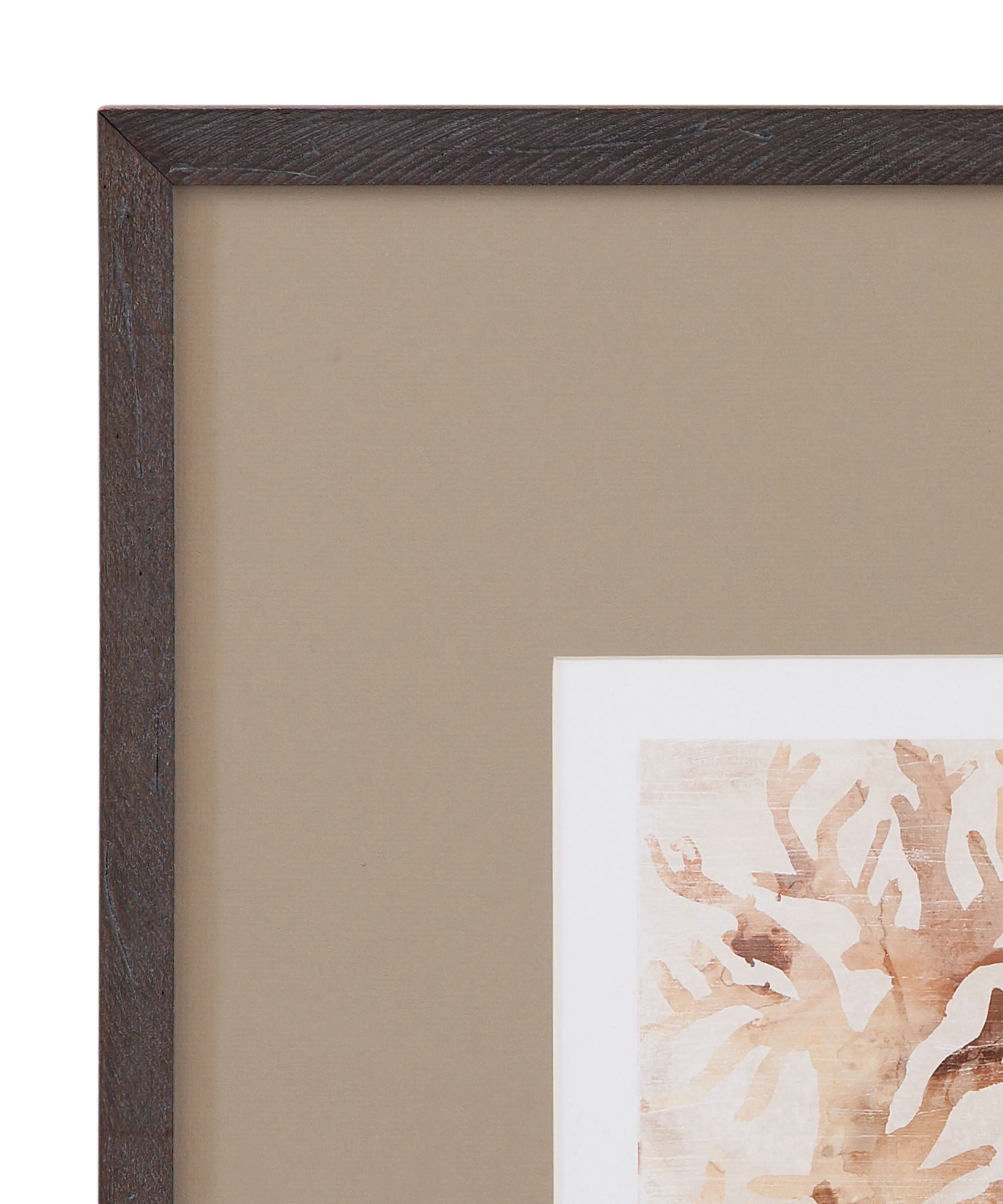 Parchment Coral - III Framed Print - Brown