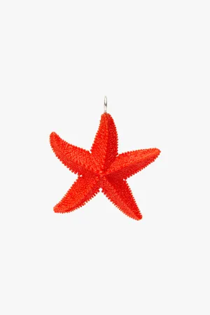 Ruby Star Pendant silver