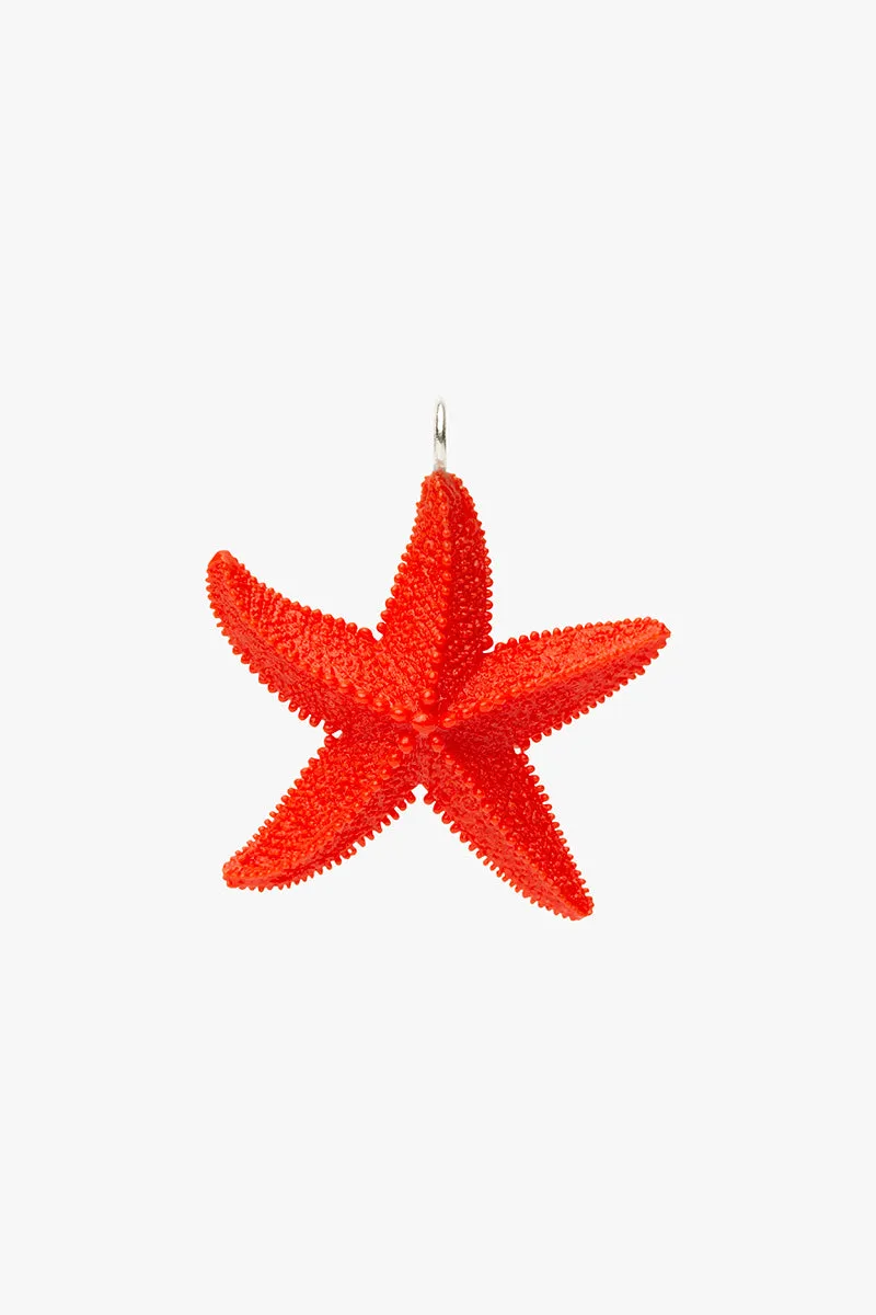 Ruby Star Pendant silver